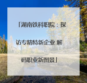 湖南铁科职院：探访专精特新企业 解码职业新图景