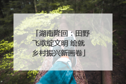 湖南隆回：田野飞歌绽文明 绘就乡村振兴新画卷