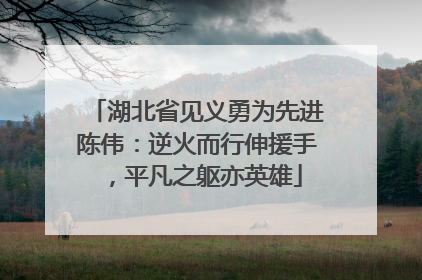 湖北省见义勇为先进陈伟：逆火而行伸援手，平凡之躯亦英雄