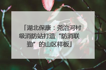 湖北保康：尧治河村级消防站打造“防消联勤”的山区样板