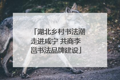 湖北乡村书法潮走进咸宁 共商李邕书法品牌建设