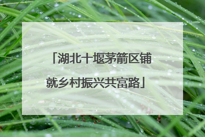 湖北十堰茅箭区铺就乡村振兴共富路