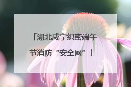 湖北咸宁织密端午节消防“安全网”