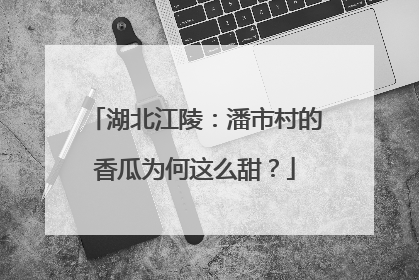 湖北江陵：潘市村的香瓜为何这么甜？
