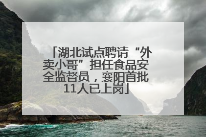 湖北试点聘请“外卖小哥”担任食品安全监督员，襄阳首批11人已上岗