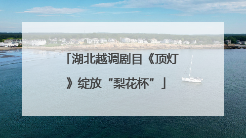 湖北越调剧目《顶灯》绽放“梨花杯”
