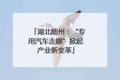 湖北随州：“专用汽车走廊”掀起产业新变革