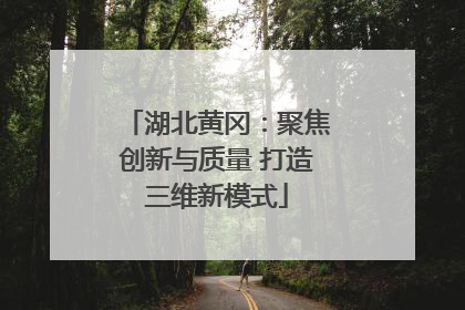 湖北黄冈：聚焦创新与质量 打造三维新模式