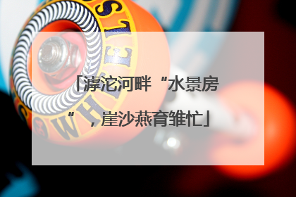 滹沱河畔“水景房”，崖沙燕育雏忙