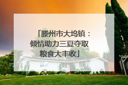 滕州市大坞镇：倾情助力三夏夺取粮食大丰收