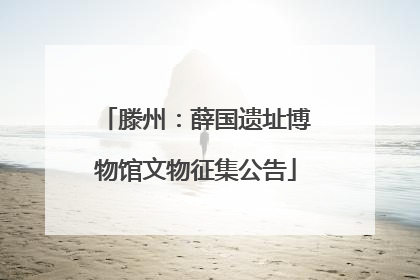 滕州：薛国遗址博物馆文物征集公告