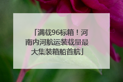 满载96标箱！河南内河航运装载量最大集装箱船首航
