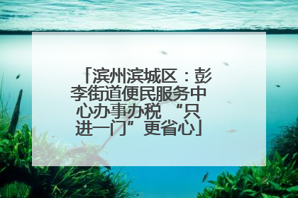 滨州滨城区：彭李街道便民服务中心办事办税 “只进一门”更省心