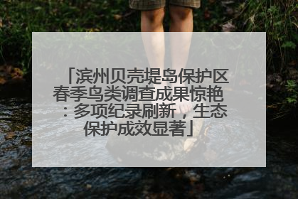 滨州贝壳堤岛保护区春季鸟类调查成果惊艳：多项纪录刷新，生态保护成效显著
