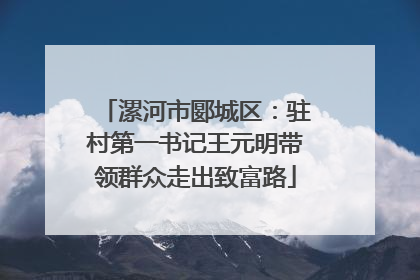 漯河市郾城区：驻村第一书记王元明带领群众走出致富路
