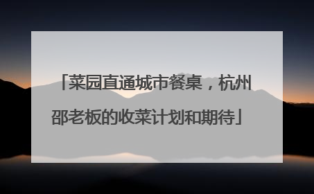 菜园直通城市餐桌，杭州邵老板的收菜计划和期待