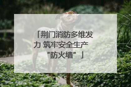荆门消防多维发力 筑牢安全生产“防火墙”