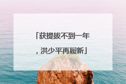 获提拔不到一年，洪少平再履新