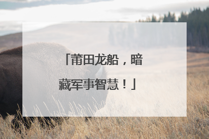 莆田龙船，暗藏军事智慧！
