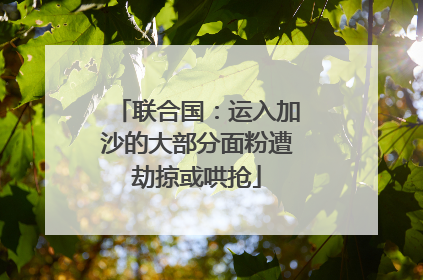 联合国：运入加沙的大部分面粉遭劫掠或哄抢