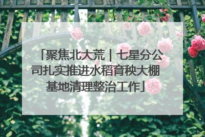 聚焦北大荒｜七星分公司扎实推进水稻育秧大棚基地清理整治工作
