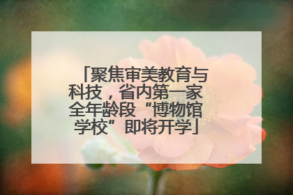 聚焦审美教育与科技，省内第一家全年龄段“博物馆学校”即将开学