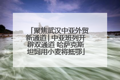 聚焦武汉中亚外贸新通道│中亚班列开辟双通道 哈萨克斯坦饲用小麦将抵鄂