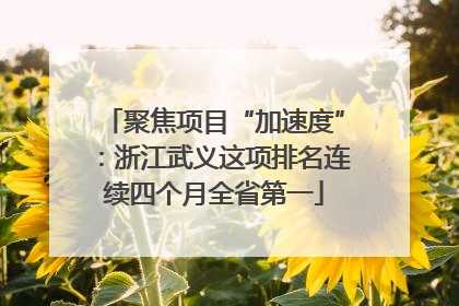 聚焦项目“加速度”：浙江武义这项排名连续四个月全省第一