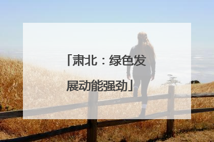 肃北：绿色发展动能强劲