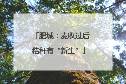 肥城：麦收过后秸秆有“新生”