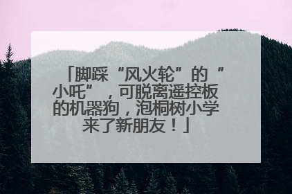 脚踩“风火轮”的“小吒”，可脱离遥控板的机器狗，泡桐树小学来了新朋友！