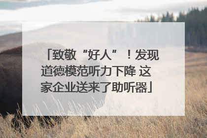 致敬“好人”！发现道德模范听力下降 这家企业送来了助听器