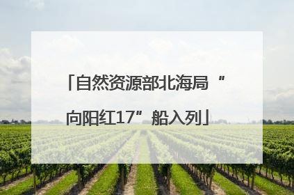 自然资源部北海局“向阳红17”船入列