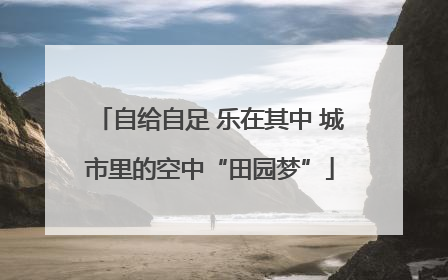 自给自足 乐在其中 城市里的空中“田园梦”