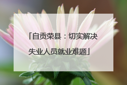 自贡荣县：切实解决失业人员就业难题