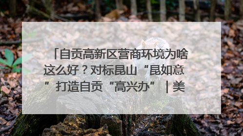 自贡高新区营商环境为啥这么好？对标昆山“昆如意”打造自贡“高兴办”｜美好生活有“盐”味