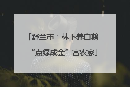 舒兰市：林下养白鹅 “点绿成金”富农家