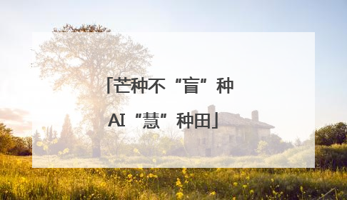 芒种不“盲”种 AI“慧”种田
