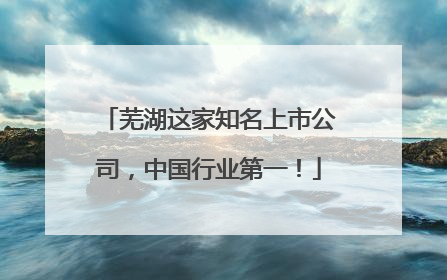 芜湖这家知名上市公司，中国行业第一！