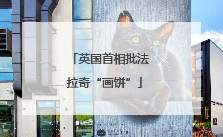 英国首相批法拉奇“画饼”