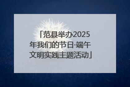 范县举办2025年我们的节日·端午文明实践主题活动