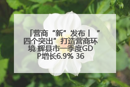 营商“新”发布丨“四个突出”打造营商环境 辉县市一季度GDP增长6.9% 36个重点项目落地