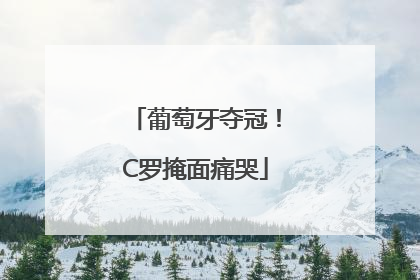 葡萄牙夺冠！C罗掩面痛哭