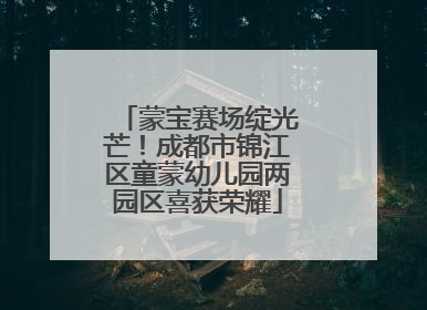 蒙宝赛场绽光芒！成都市锦江区童蒙幼儿园两园区喜获荣耀
