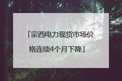 蒙西电力现货市场价格连续4个月下降