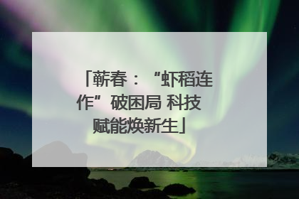 蕲春：“虾稻连作”破困局 科技赋能焕新生
