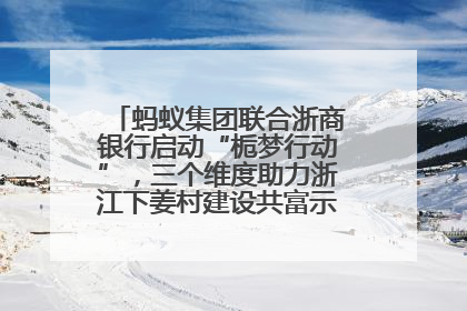 蚂蚁集团联合浙商银行启动“栀梦行动”，三个维度助力浙江下姜村建设共富示范区示范点
