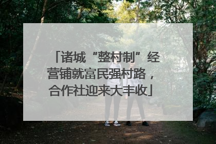 诸城“整村制”经营铺就富民强村路，合作社迎来大丰收