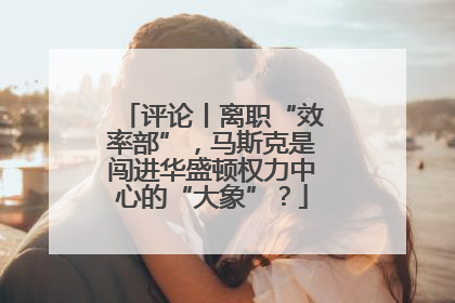 评论丨离职“效率部”，马斯克是闯进华盛顿权力中心的“大象”？