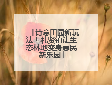 诗意田园新玩法！礼贤镇让生态林地变身惠民新乐园